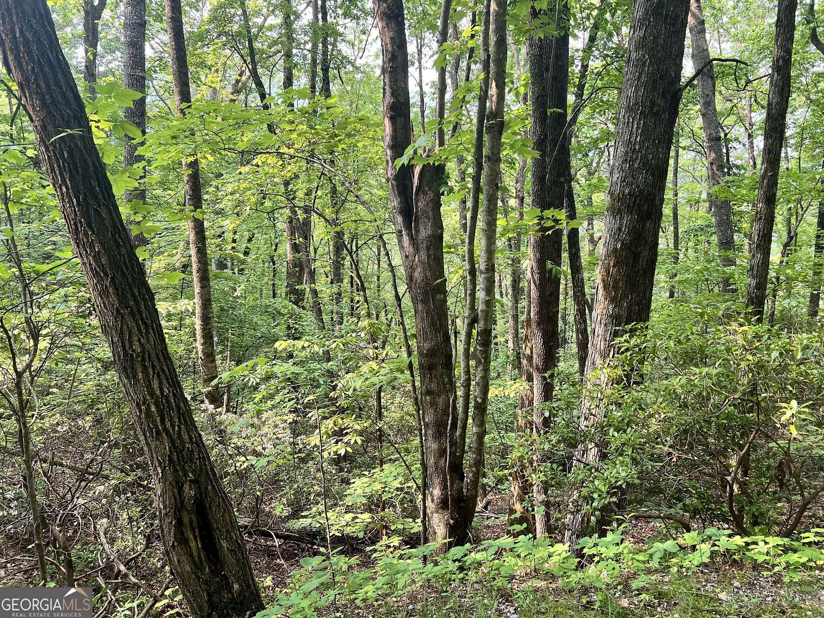 11.3 Acres of Land for Sale in Sky Valley, Georgia