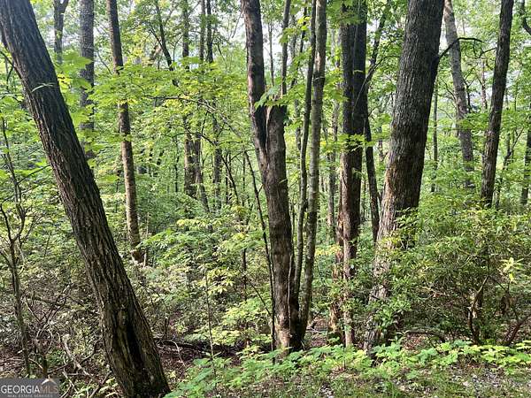 11.3 Acres of Land for Sale in Sky Valley, Georgia