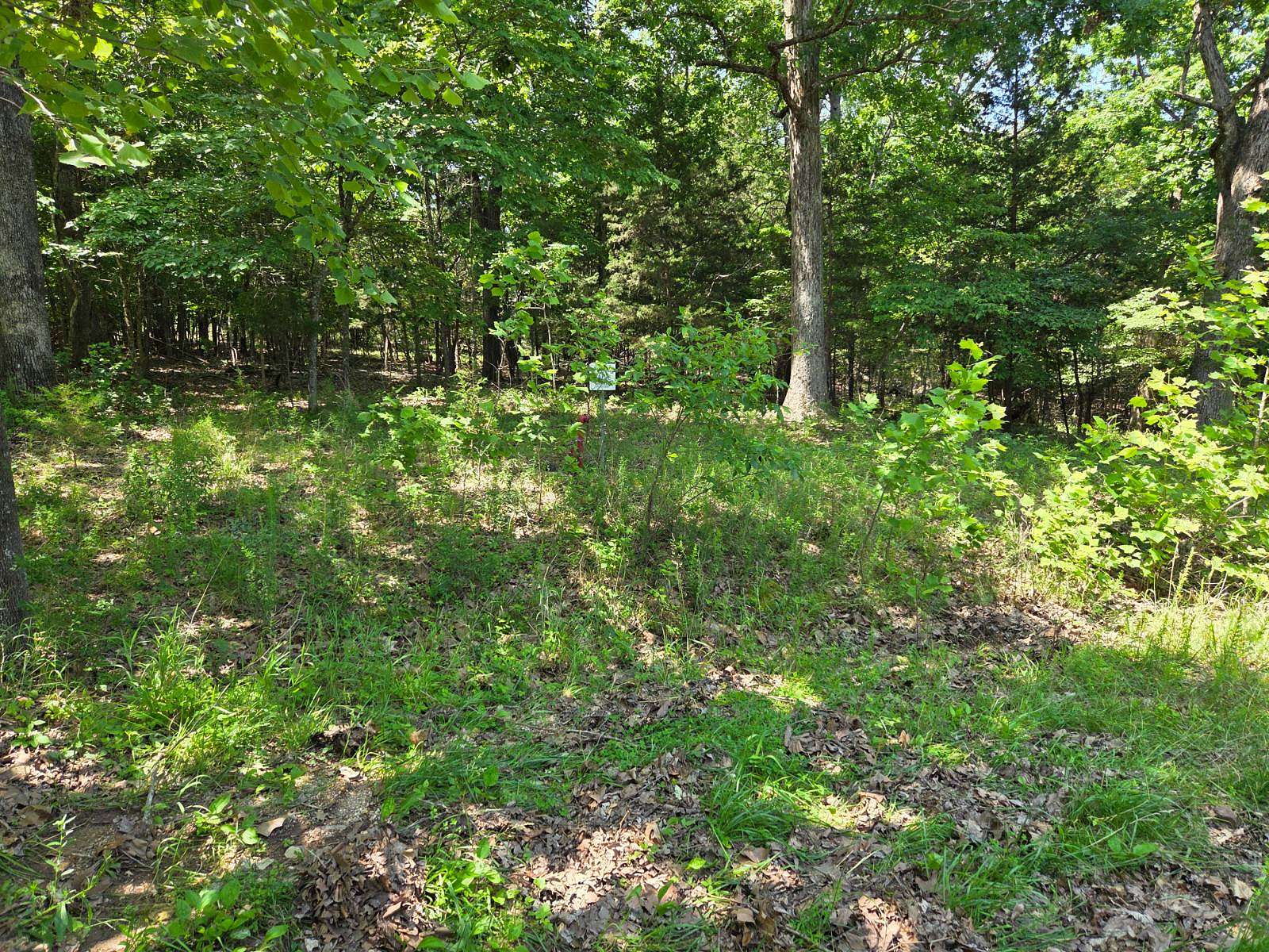 Residential Land for Sale in Oakland, Arkansas