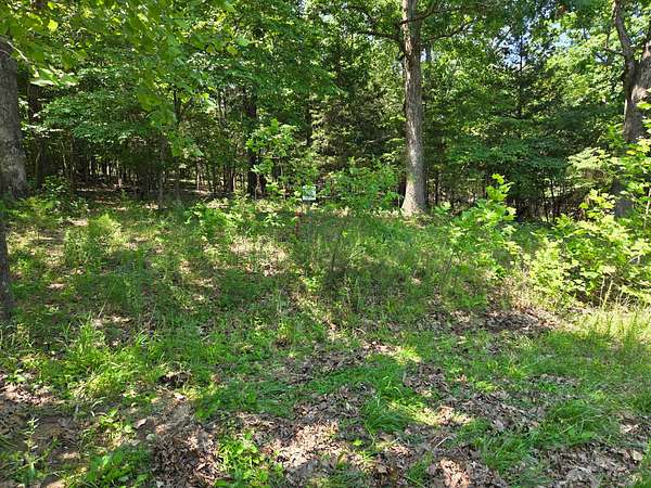 Residential Land for Sale in Oakland, Arkansas