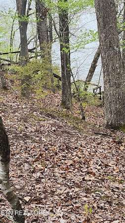0.79 Acres of Residential Land for Sale in Rockwood, Tennessee