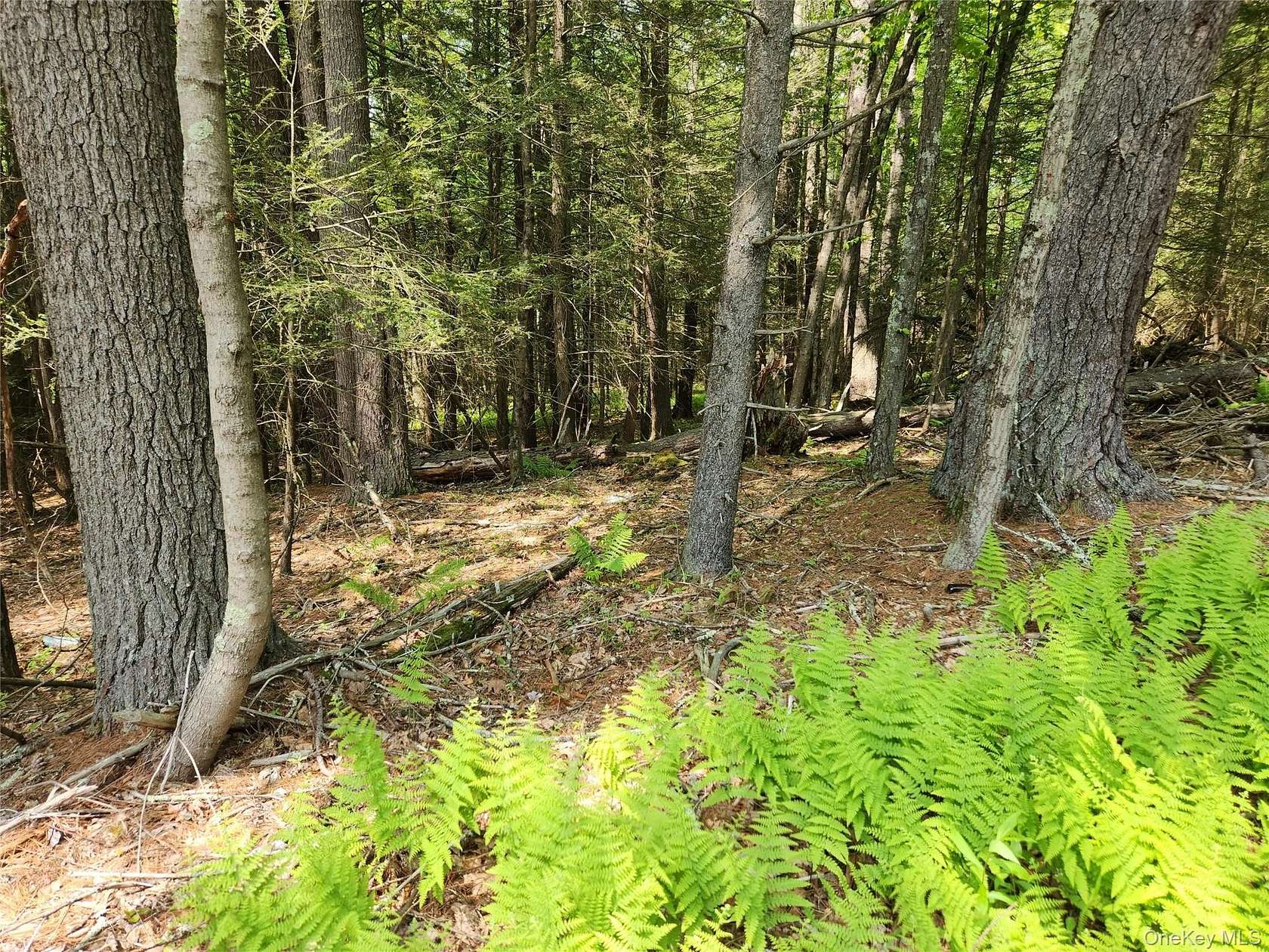 6.7 Acres of Land for Sale in Eldred, New York