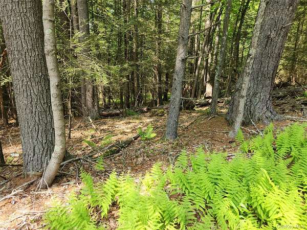 6.7 Acres of Land for Sale in Eldred, New York