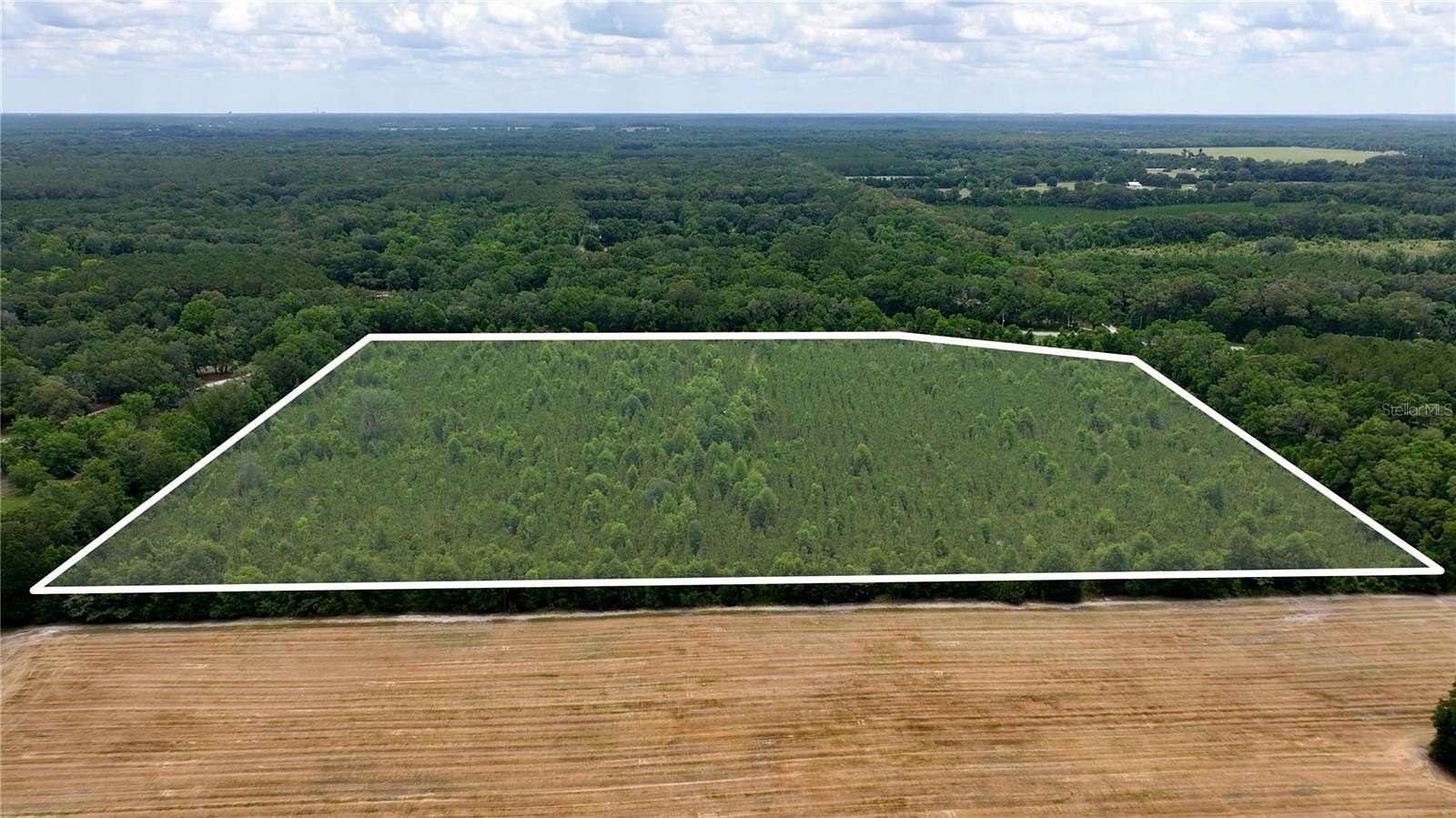 31 Acres of Recreational Land for Sale in Newberry, Florida