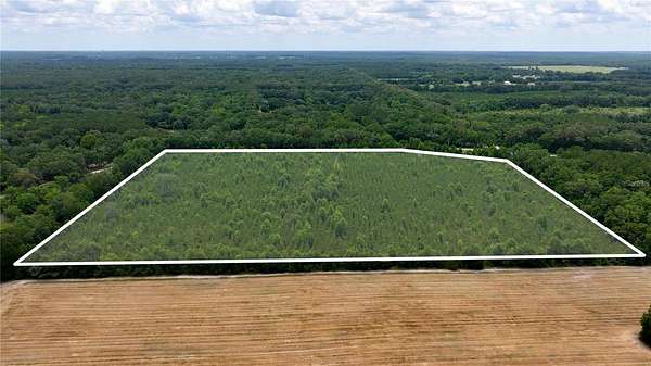 31 Acres of Recreational Land for Sale in Newberry, Florida