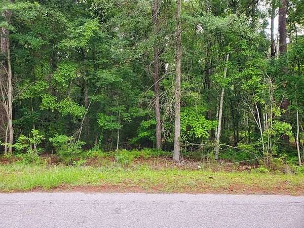 3.1 Acres of Residential Land for Sale in Manning, South Carolina