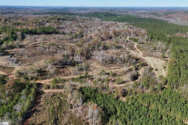 96 Acres of Recreational Land for Sale in Jonesville, South Carolina