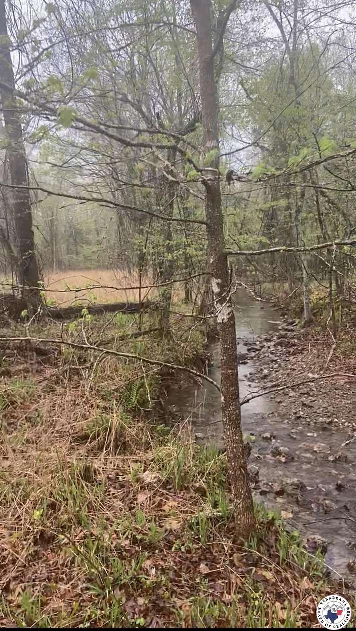 10 Acres of Land for Sale in Arkansas Township, Arkansas