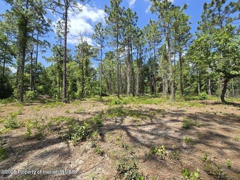 0.5 Acres of Residential Land for Sale in Weeki Wachee, Florida