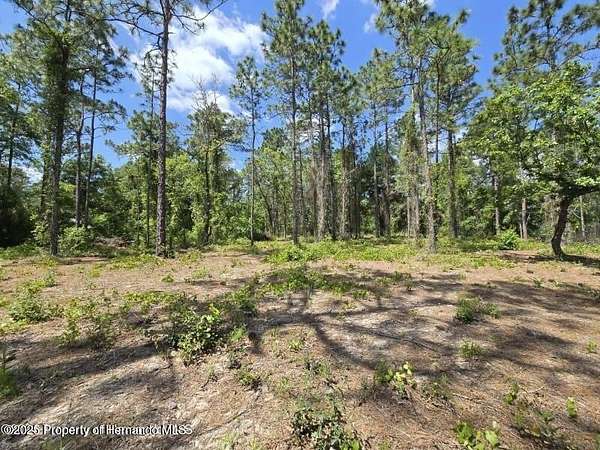 0.5 Acres of Residential Land for Sale in Weeki Wachee, Florida