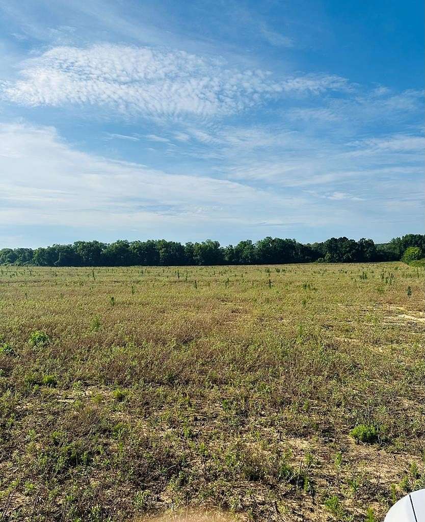 15 Acres of Land for Sale in Slocomb, Alabama