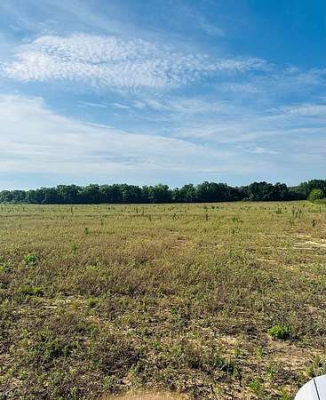 15 Acres of Land for Sale in Slocomb, Alabama