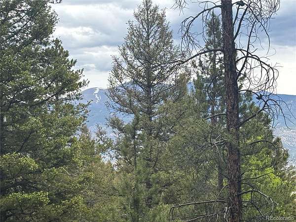 1.9 Acres of Residential Land for Sale in Buena Vista, Colorado