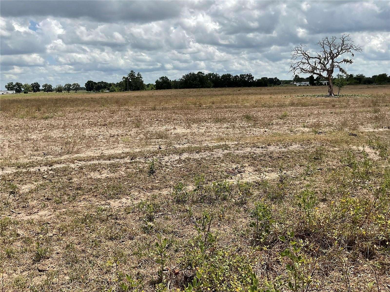 10 Acres of Recreational Land & Farm for Sale in Bronson, Florida