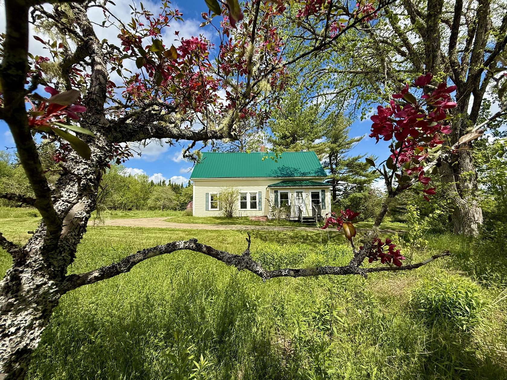 21 Acres of Recreational Land with Home for Sale in Perry, Maine