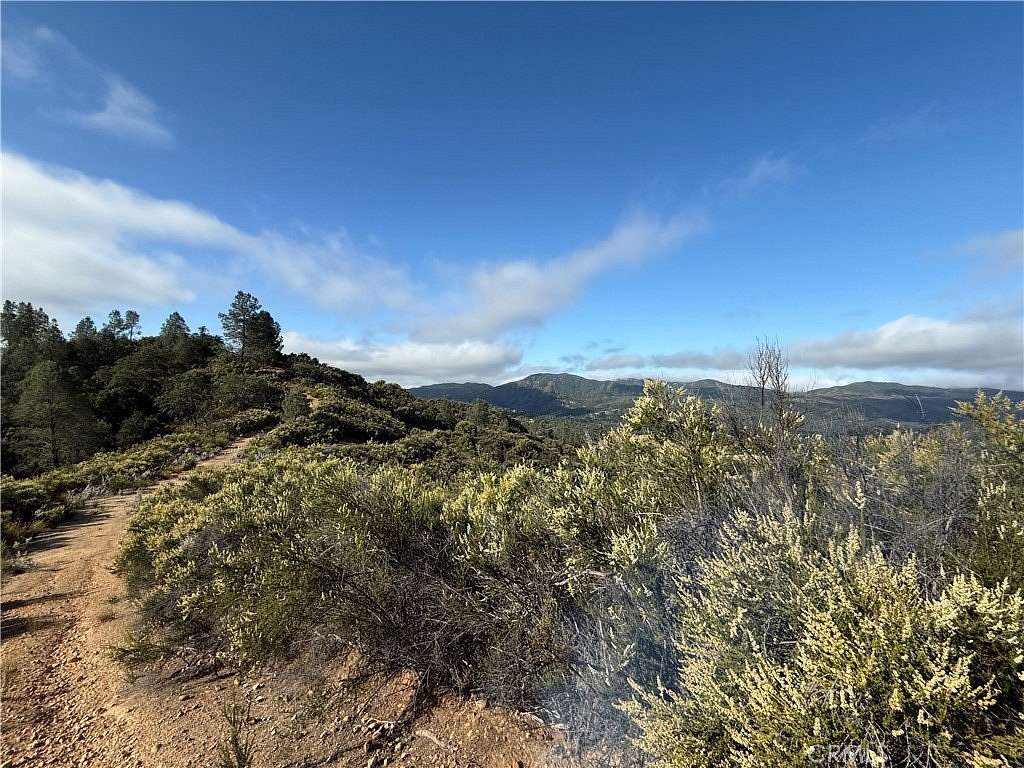 40 Acres of Land for Sale in Bradley, California