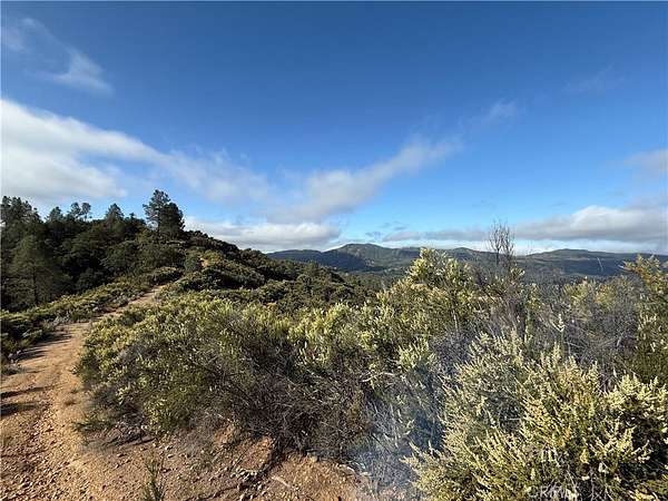 40 Acres of Land for Sale in Bradley, California