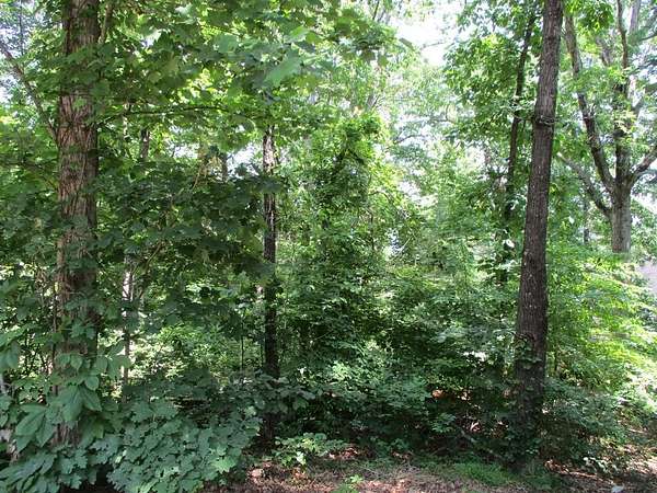 0.74 Acres of Residential Land for Sale in Hayesville, North Carolina