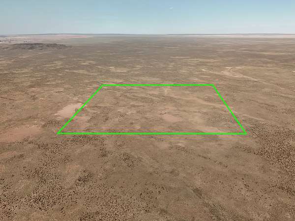 40 Acres of Recreational Land for Sale in St. Johns, Arizona