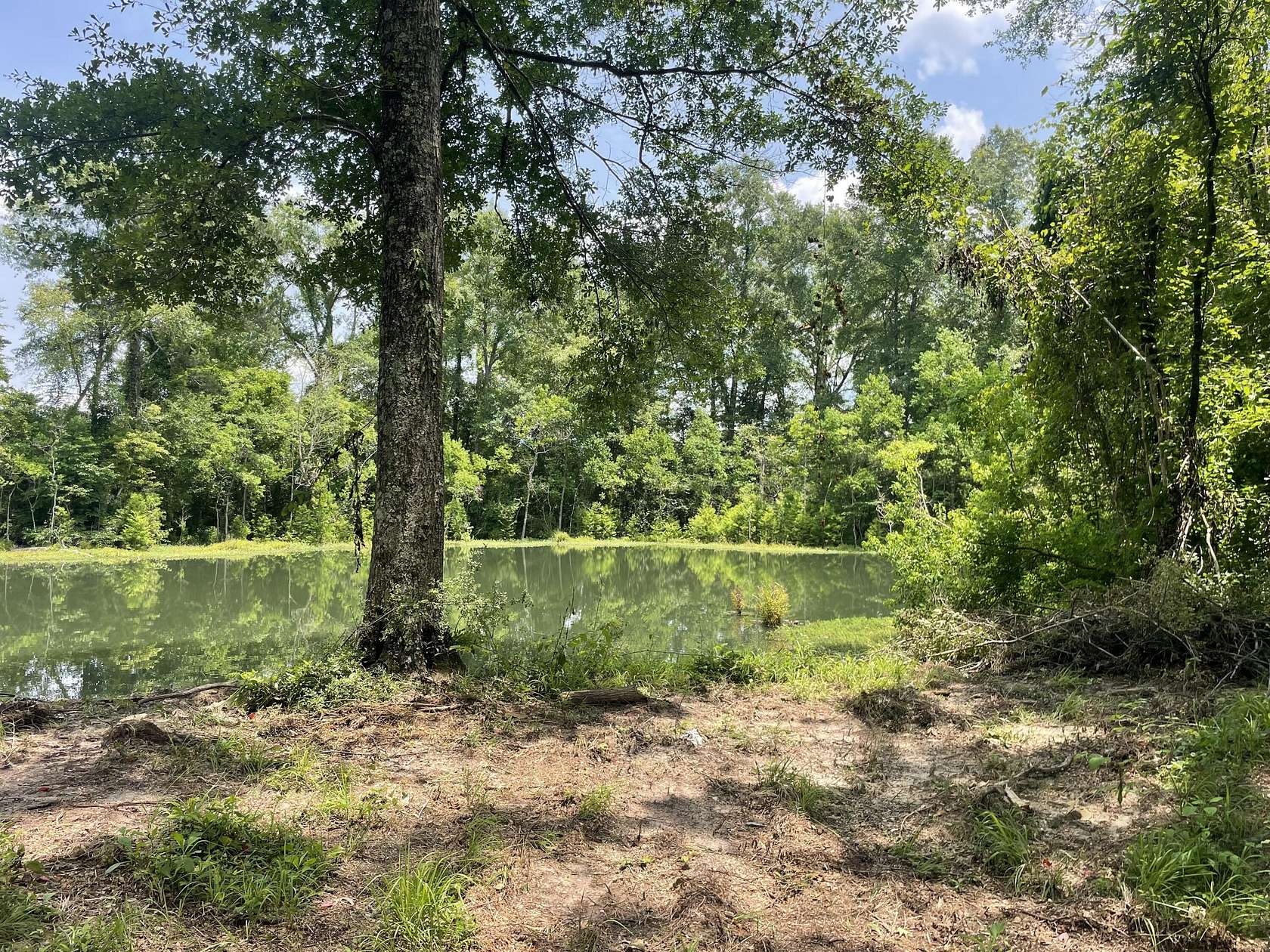 12.2 Acres of Land for Sale in Columbia, Mississippi