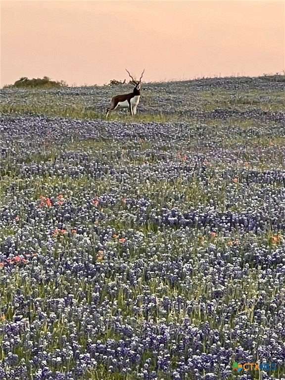 286 Acres of Recreational Land with Home for Sale in Purmela, Texas