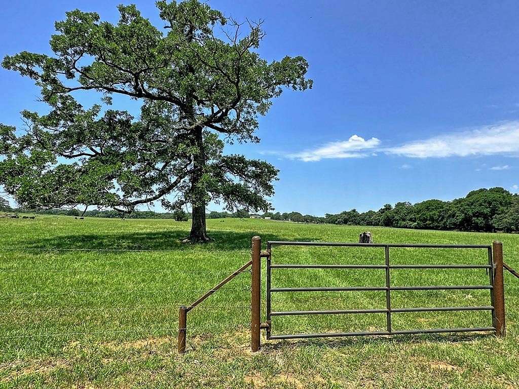 41.8 Acres of Land for Sale in Athens, Texas