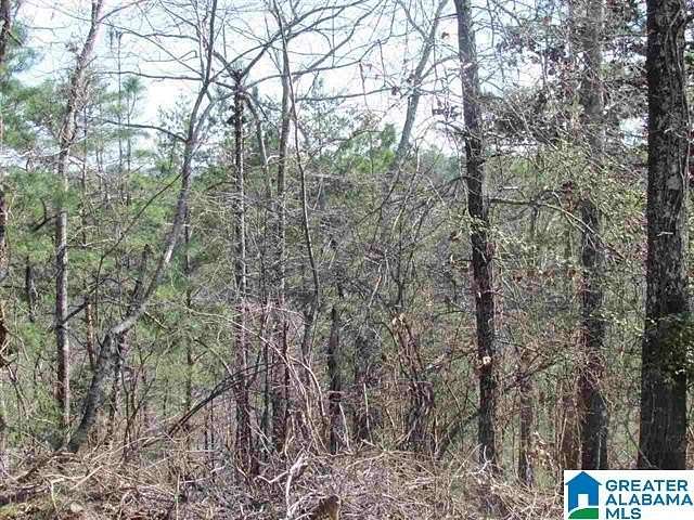 61 Acres of Land for Sale in Pell City, Alabama