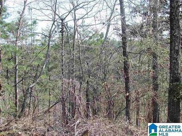 61 Acres of Land for Sale in Pell City, Alabama