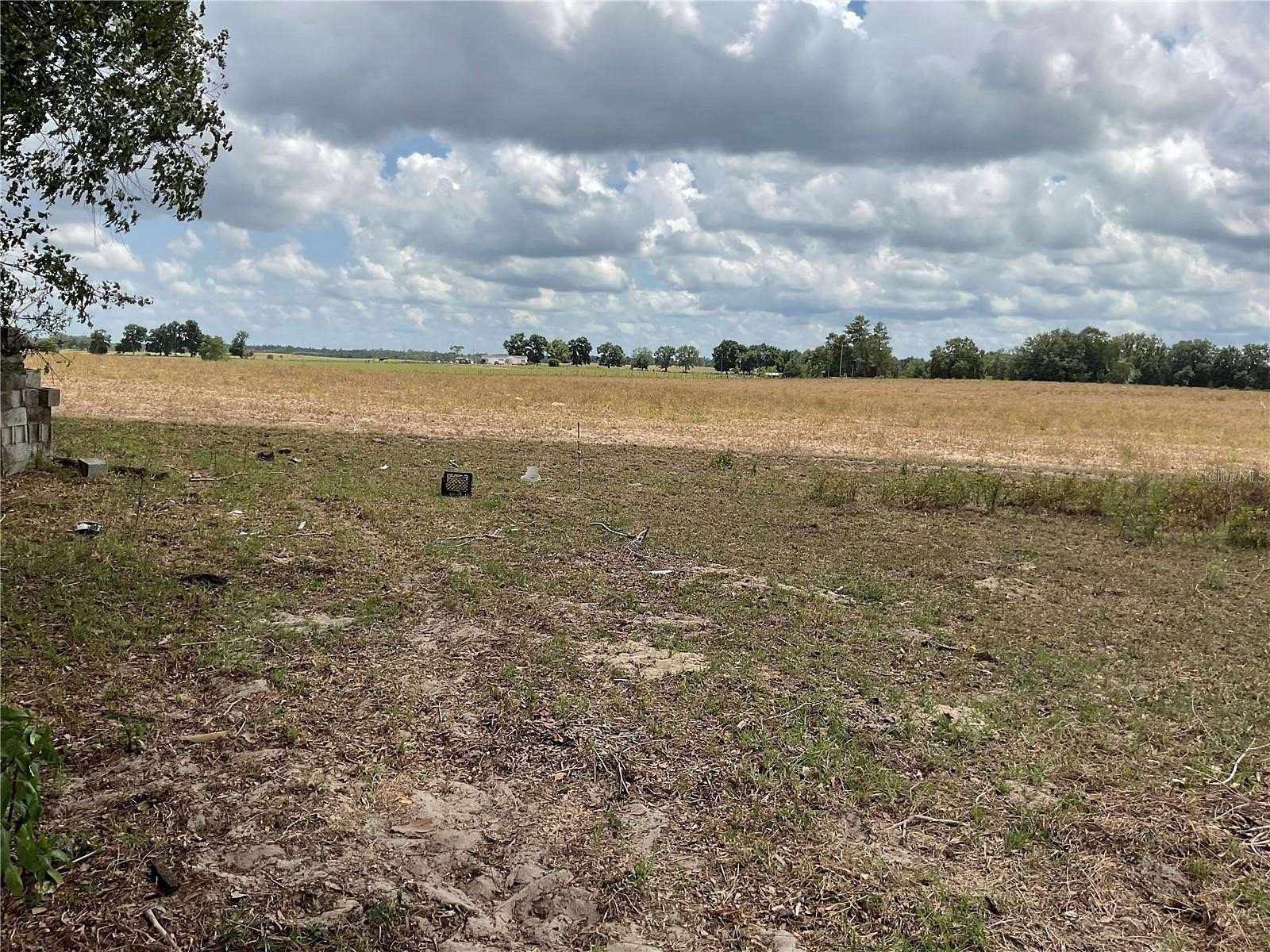 10 Acres of Recreational Land & Farm for Sale in Bronson, Florida