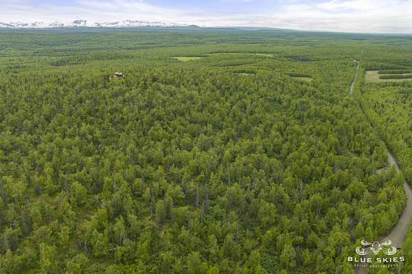 5 Acres of Residential Land for Sale in Talkeetna, Alaska