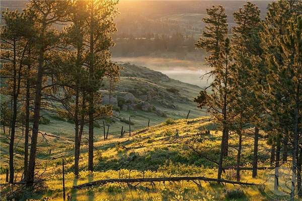 37.3 Acres of Recreational Land & Farm for Sale in Roundup, Montana