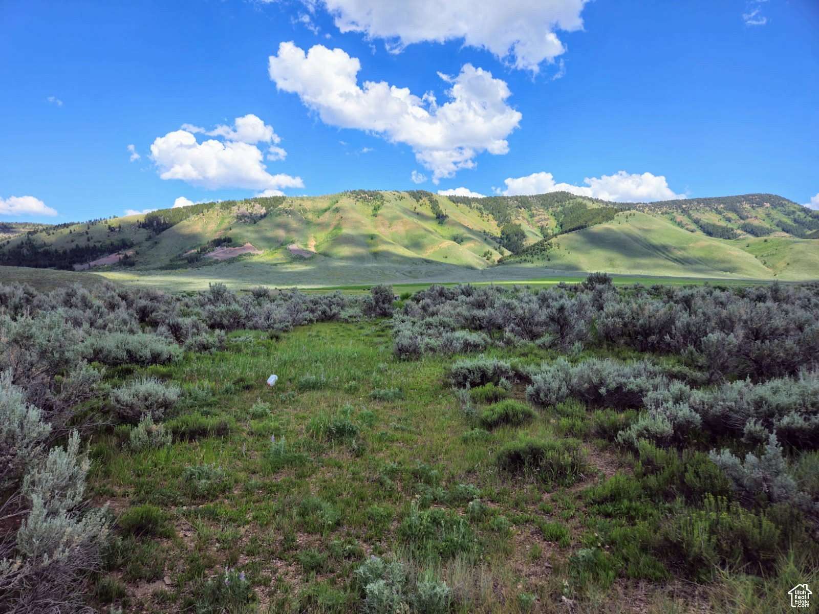 1.2 Acres of Land for Sale in Geneva, Idaho