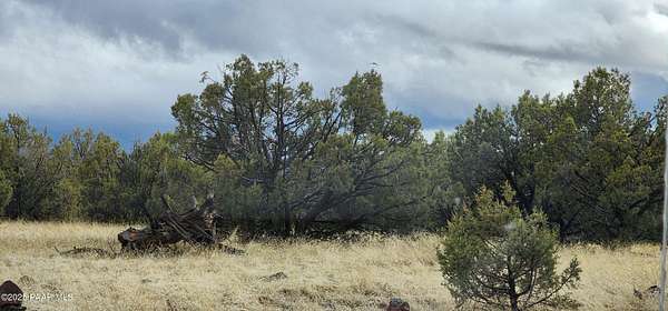 2.26 Acres of Mixed-Use Land for Sale in Williams, Arizona