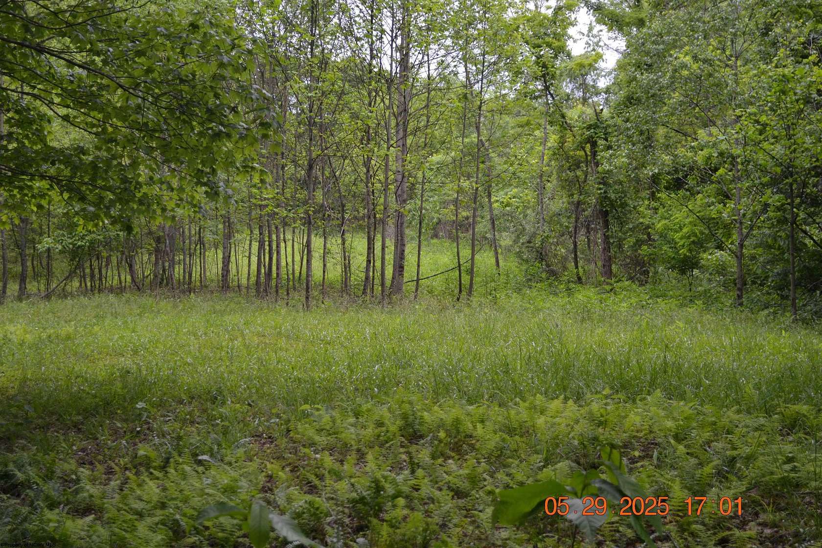 211 Acres of Land for Sale in Heaters, West Virginia