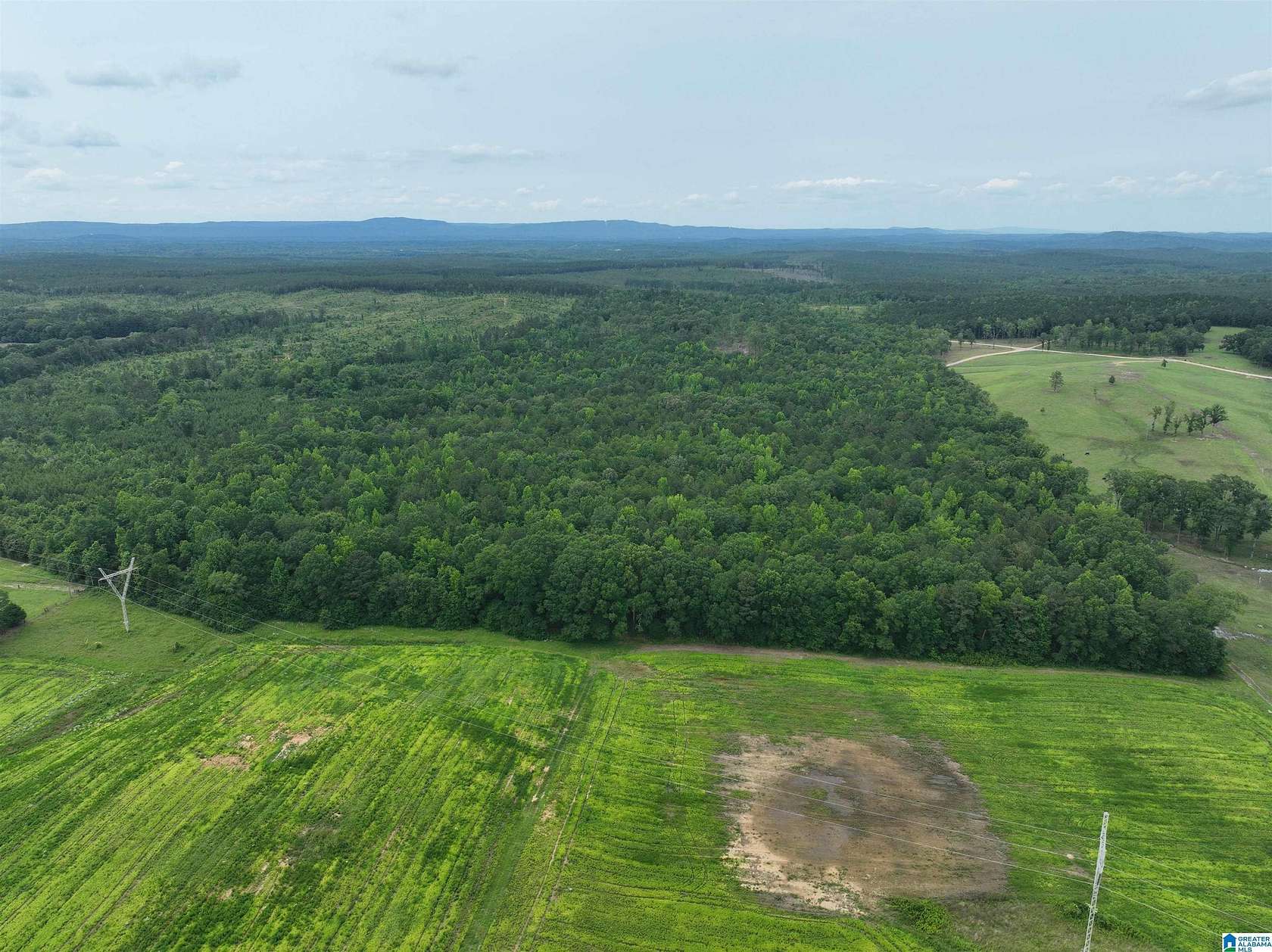 80.5 Acres of Recreational Land for Sale in Wilsonville, Alabama