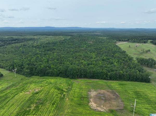 80.5 Acres of Recreational Land for Sale in Wilsonville, Alabama