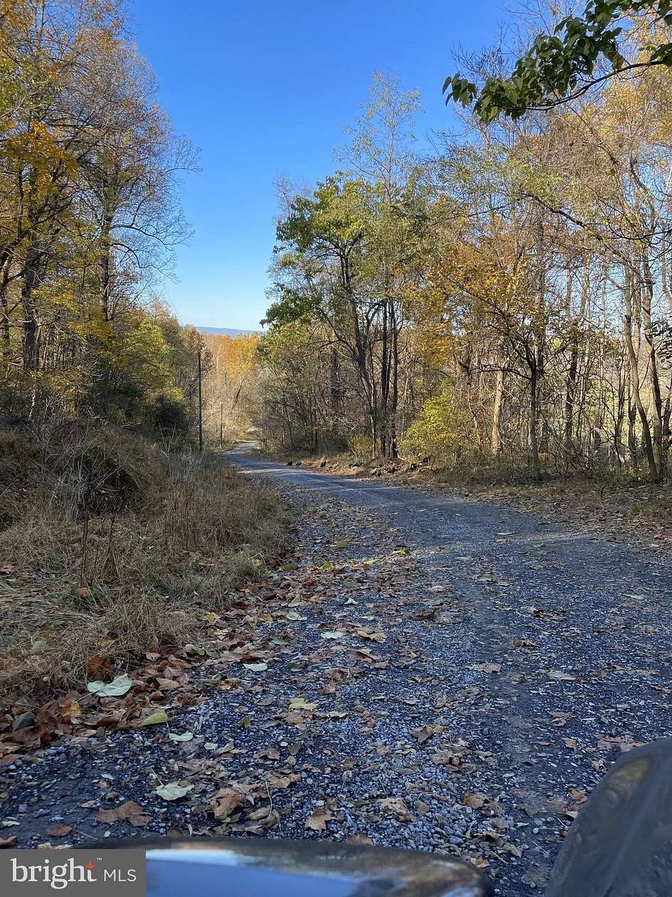 20 Acres of Recreational & Residential Land for Sale in Front Royal, Virginia