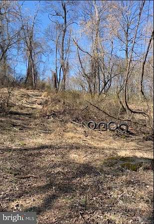 20 Acres of Recreational Land for Sale in Front Royal, Virginia