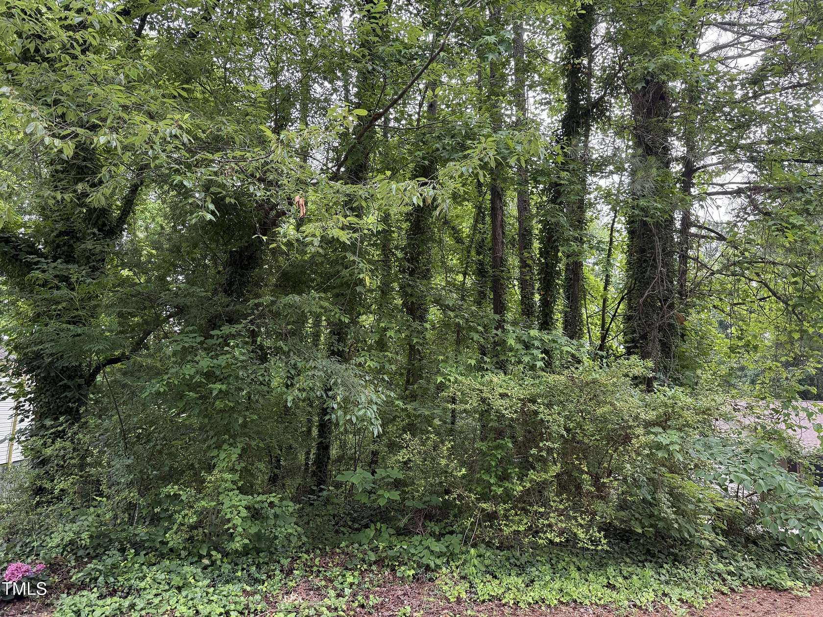 0.17 Acres of Land for Sale in Henderson, North Carolina