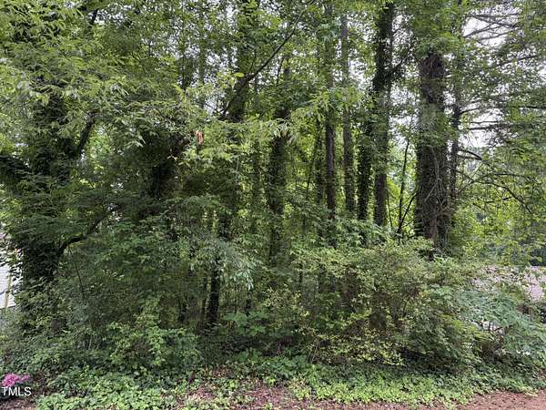 0.17 Acres of Land for Sale in Henderson, North Carolina