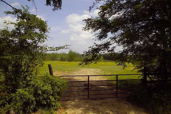 126 Acres of Land for Sale in Corrigan, Texas