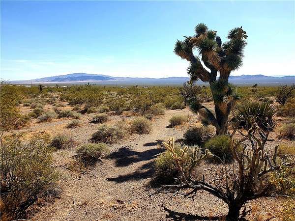 2 Acres of Land for Sale in White Hills, Arizona