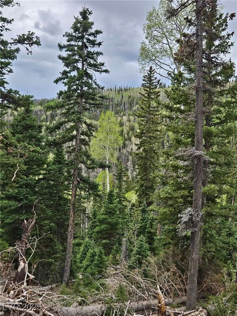 0.68 Acres of Residential Land for Sale in Beaver, Utah