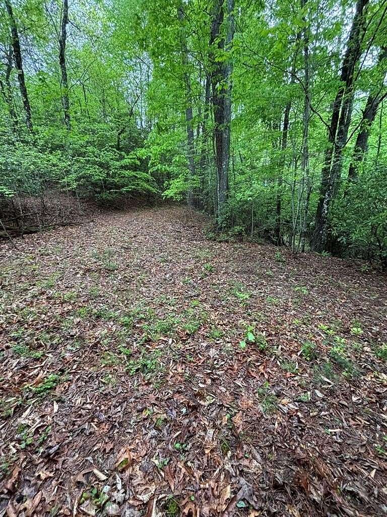 7.12 Acres of Residential Land for Sale in Franklin, North Carolina