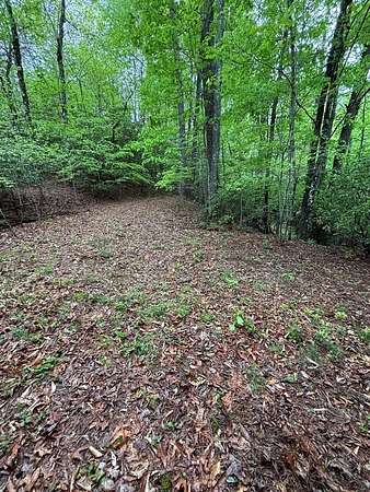 7.12 Acres of Residential Land for Sale in Franklin, North Carolina