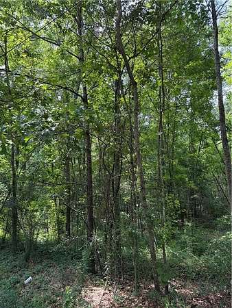3 Acres of Commercial Land for Sale in Hammond, Louisiana