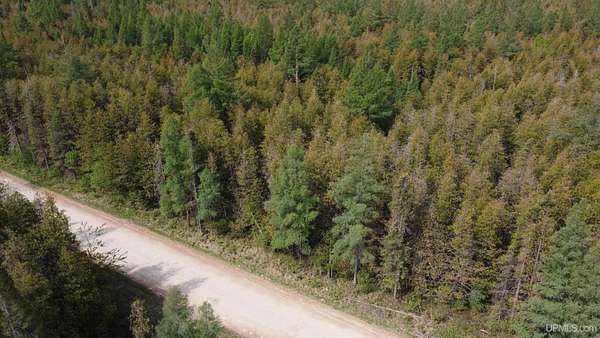 40 Acres of Land for Sale in Hermansville, Michigan