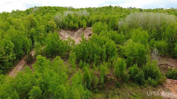 10 Acres of Recreational & Residential Land for Sale in Trout Creek, Michigan