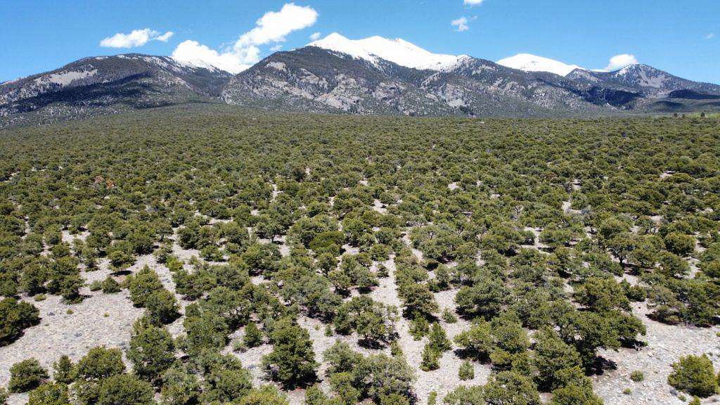 5 Acres of Residential Land for Sale in Alamosa, Colorado