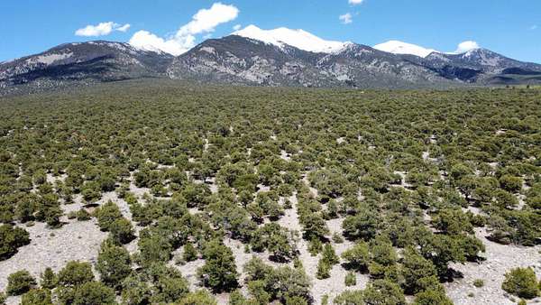 5 Acres of Residential Land for Sale in Alamosa, Colorado